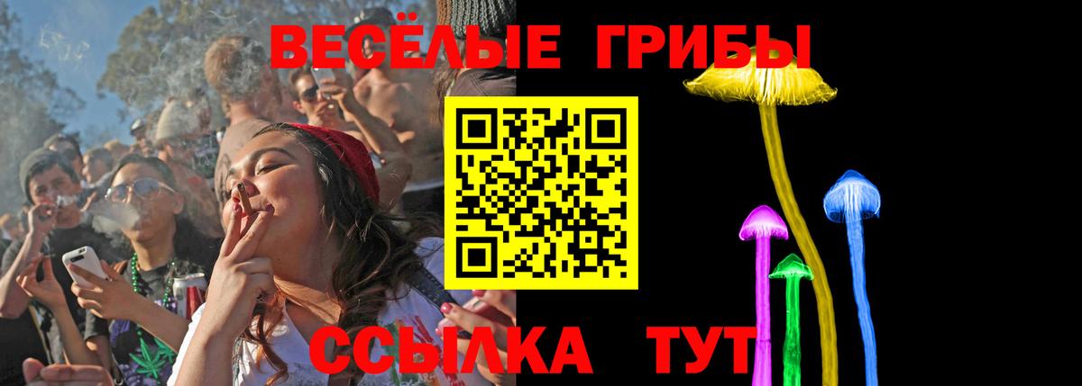 Галлюциногенные грибы GOLDEN TEACHER  Вход с VPN  Киров 
