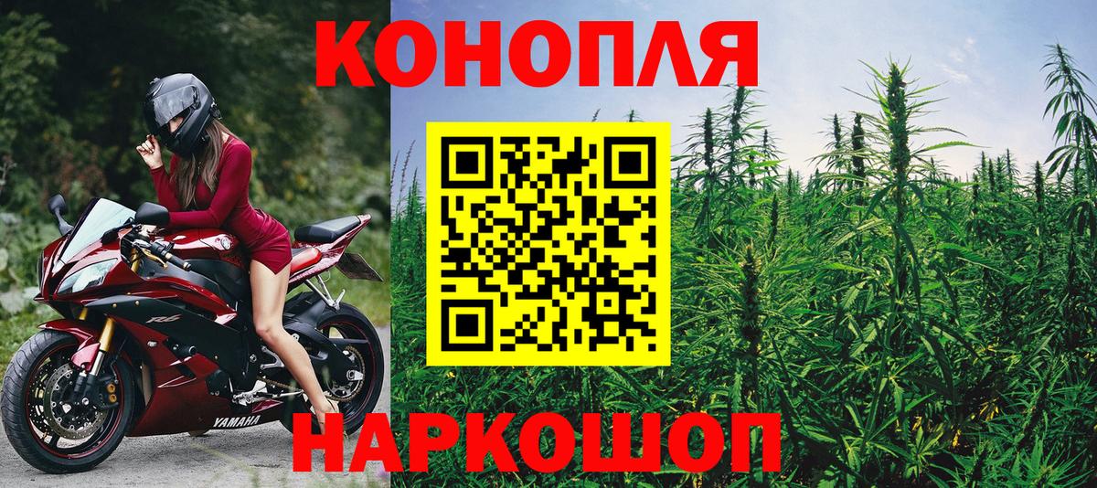 Конопля планчик Киров
